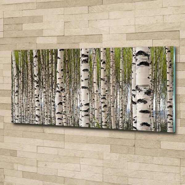 Glass art print Birch forest