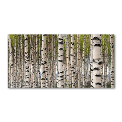 Glass art print Birch forest