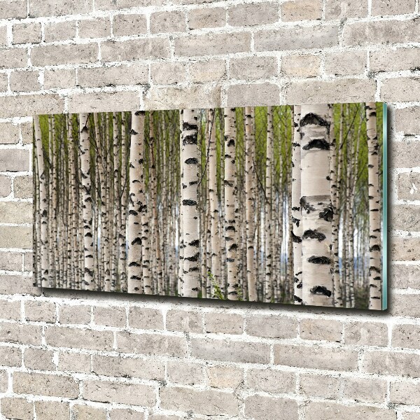 Glass art print Birch forest