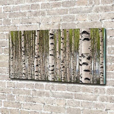 Glass art print Birch forest