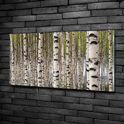 Glass art print Birch forest