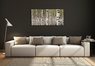 Glass art print Birch forest