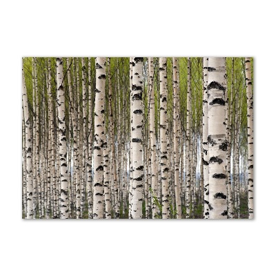 Glass art print Birch forest