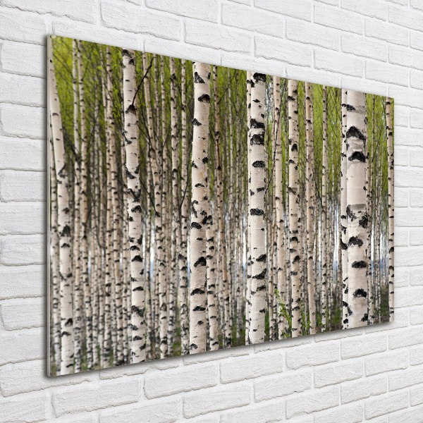 Glass art print Birch forest