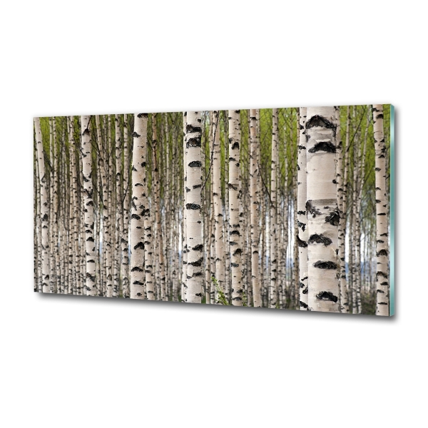 Glass art print Birch forest