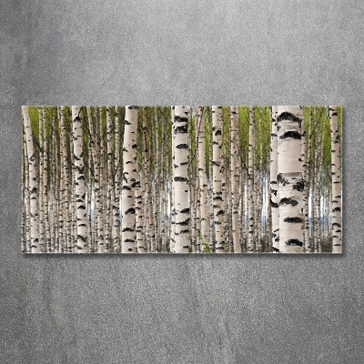 Glass art print Birch forest