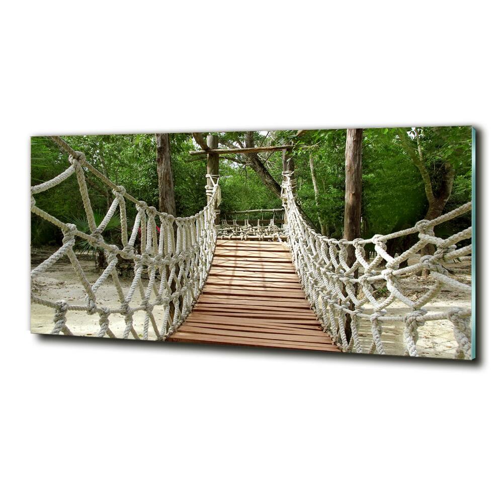 Photo printed on glass Rope bridge