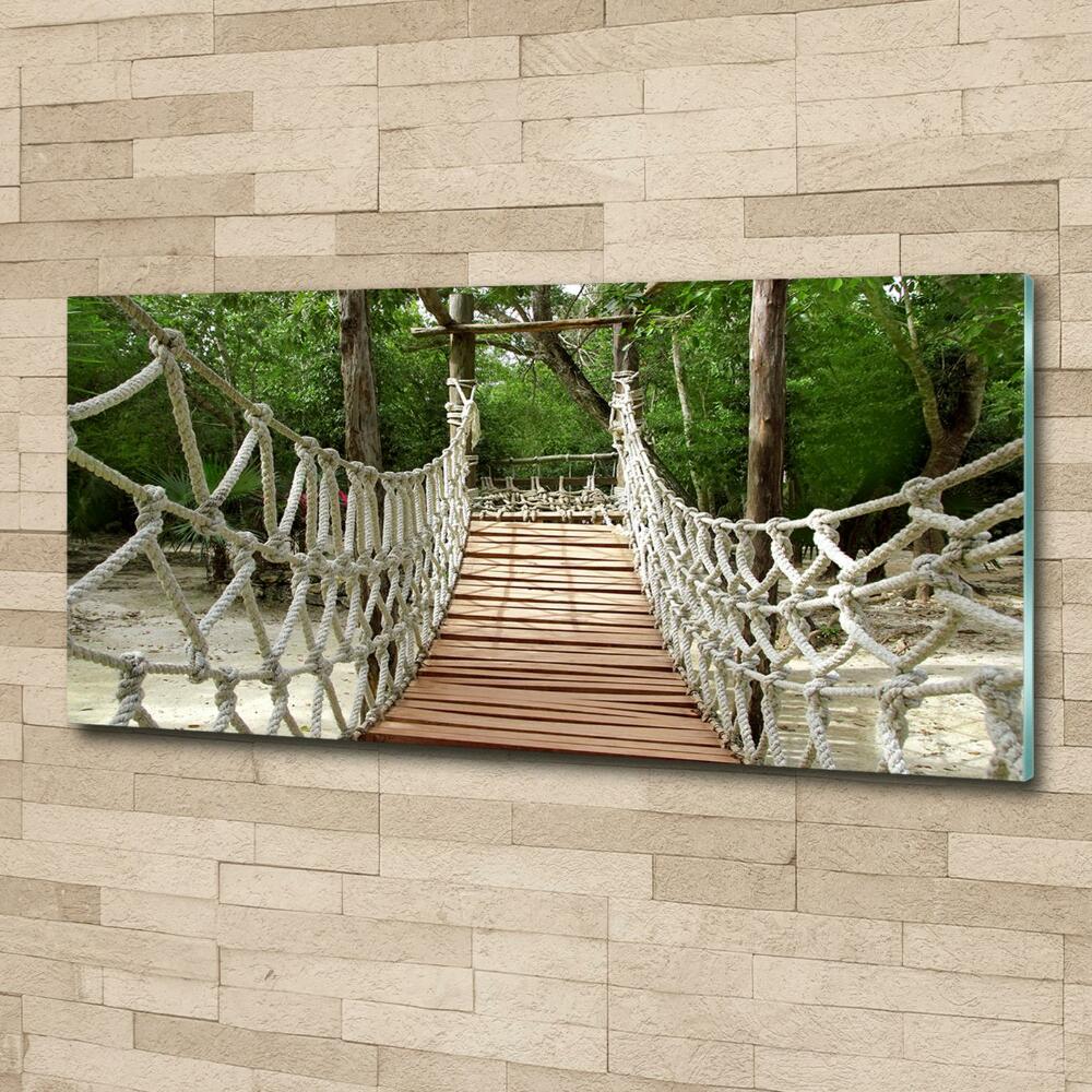 Photo printed on glass Rope bridge