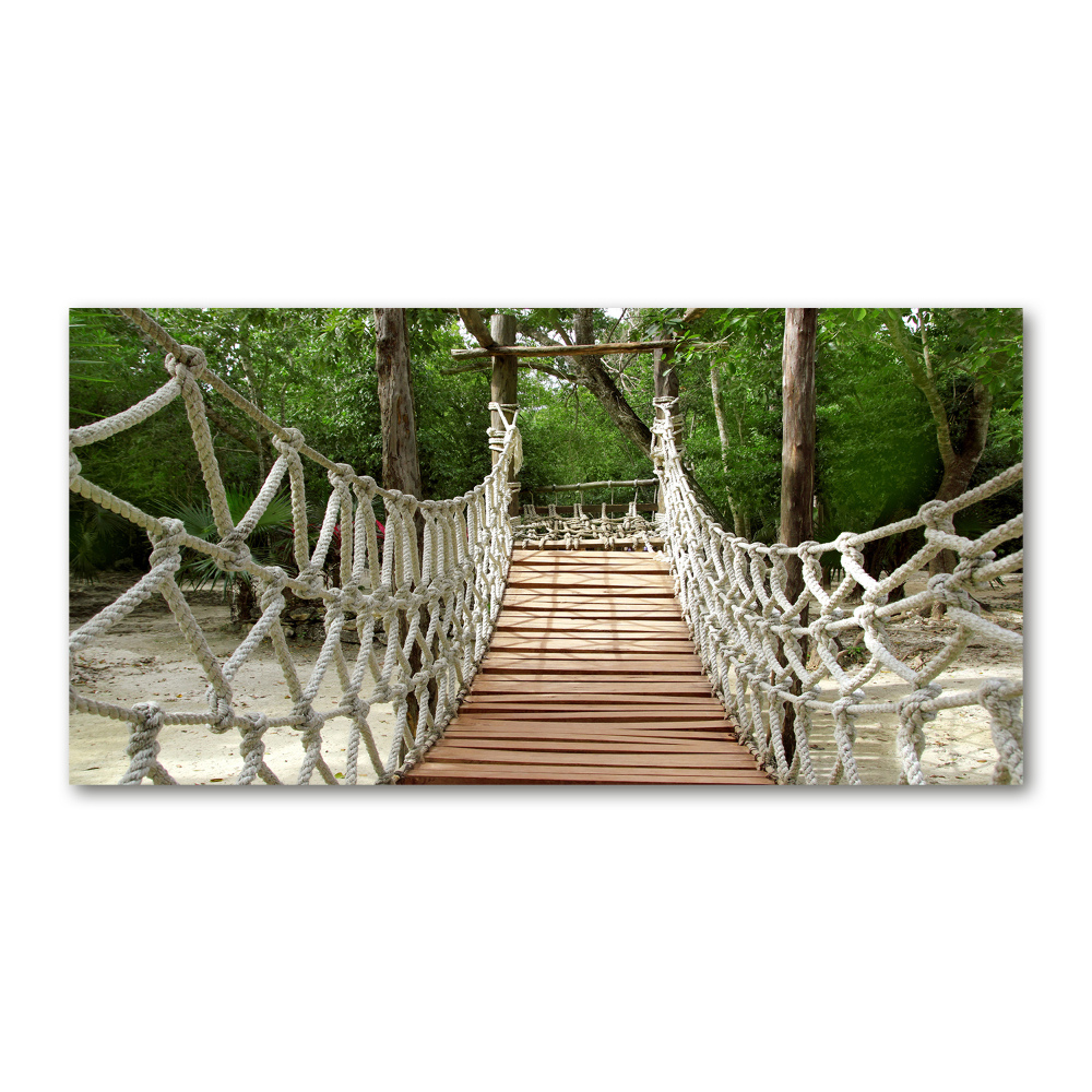 Photo printed on glass Rope bridge