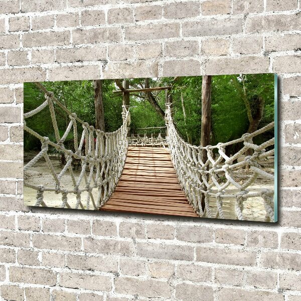 Photo printed on glass Rope bridge