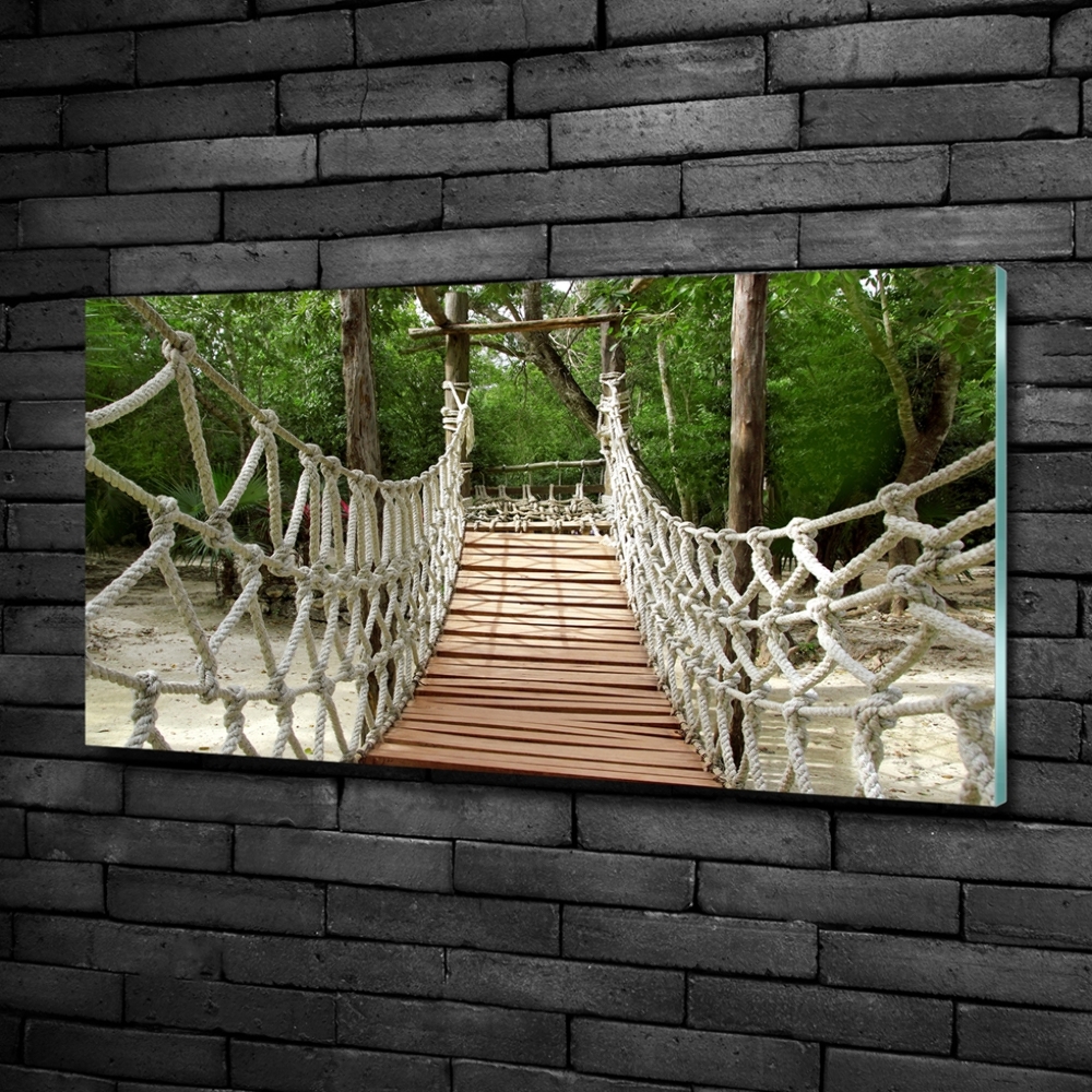 Photo printed on glass Rope bridge