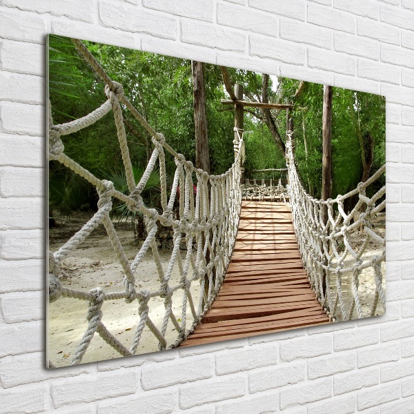 Photo printed on glass Rope bridge