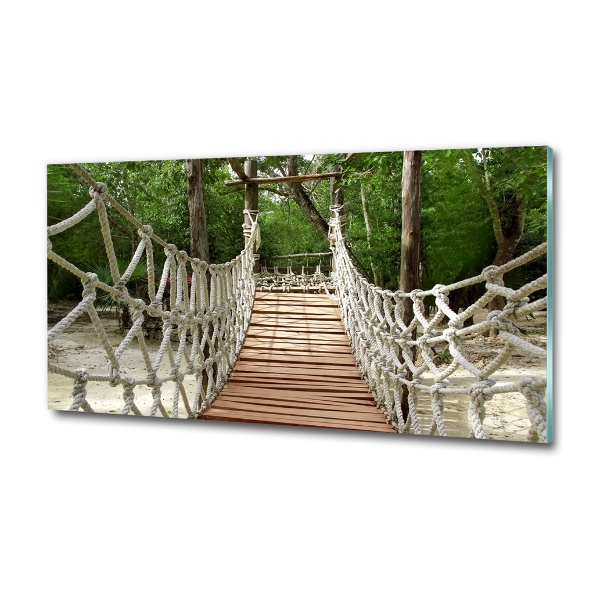 Photo printed on glass Rope bridge