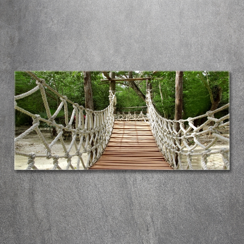 Photo printed on glass Rope bridge