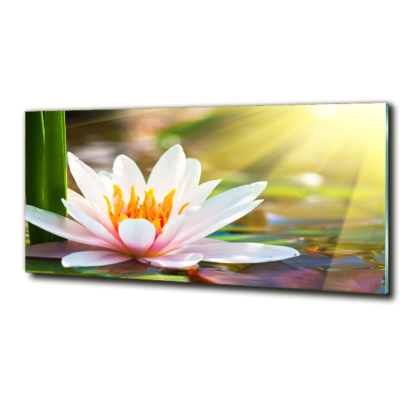 Glass art picture Water lily