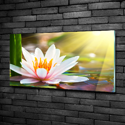 Glass art picture Water lily