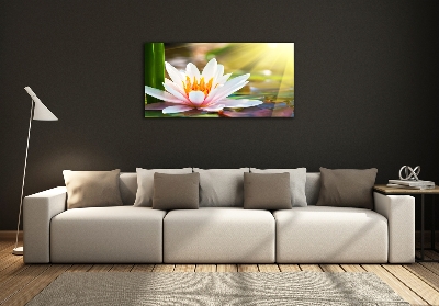 Glass art picture Water lily