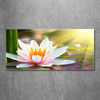 Glass art picture Water lily