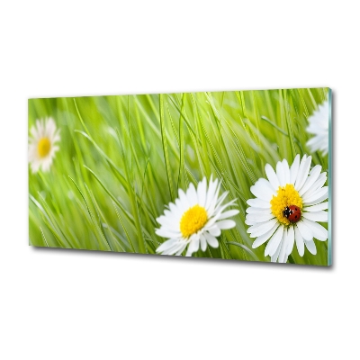 Glass art print Daisy