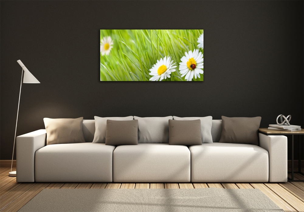 Glass art print Daisy