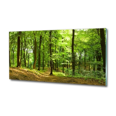 Photo printed on glass Forest track