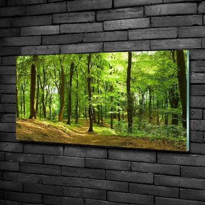 Photo printed on glass Forest track