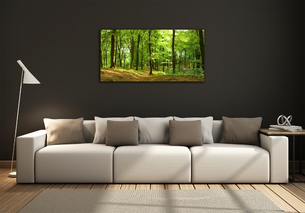 Photo printed on glass Forest track