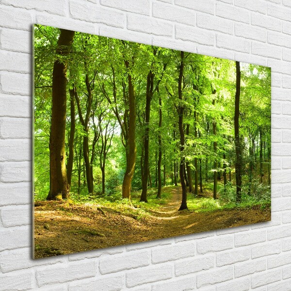 Photo printed on glass Forest track