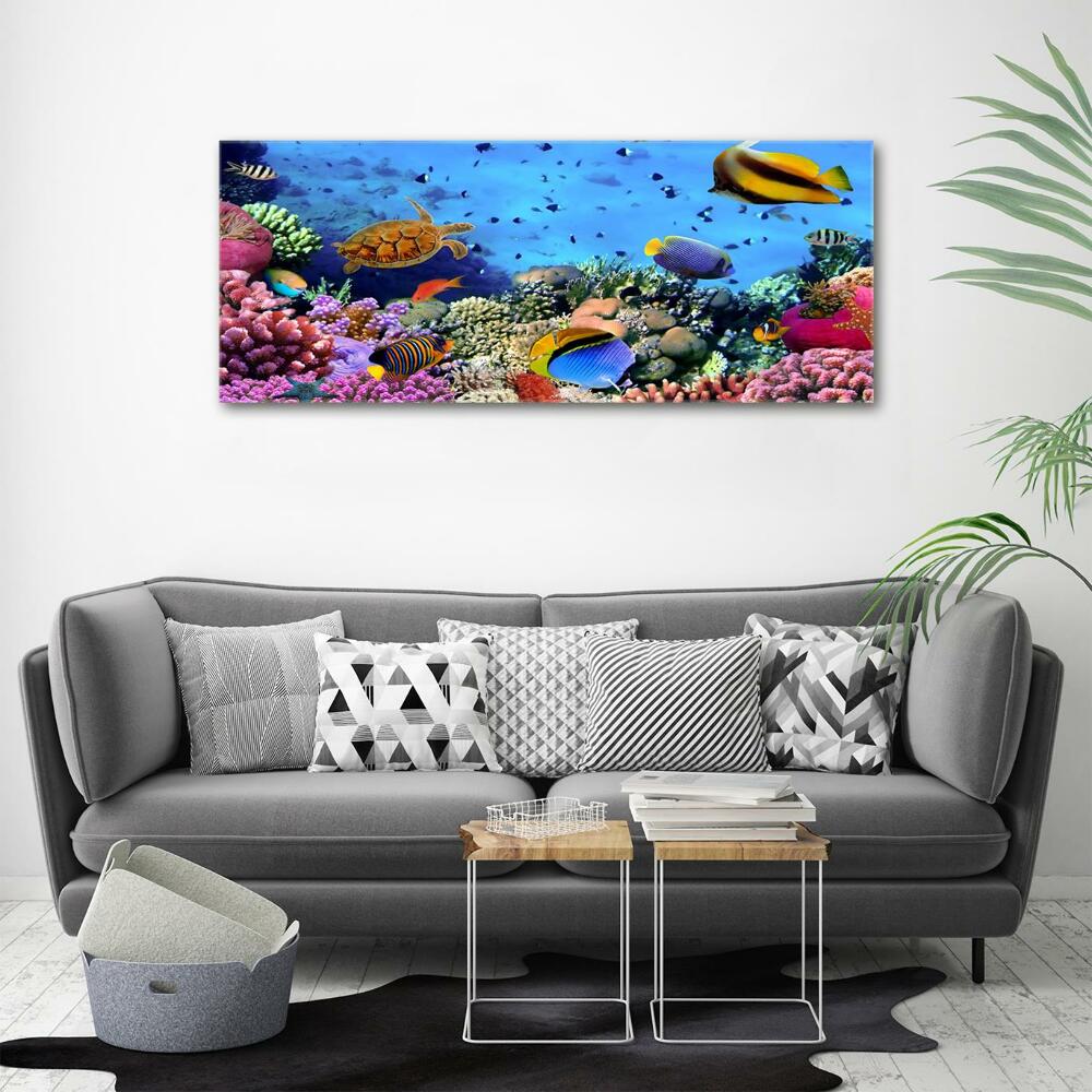 Glass art print Coral reef