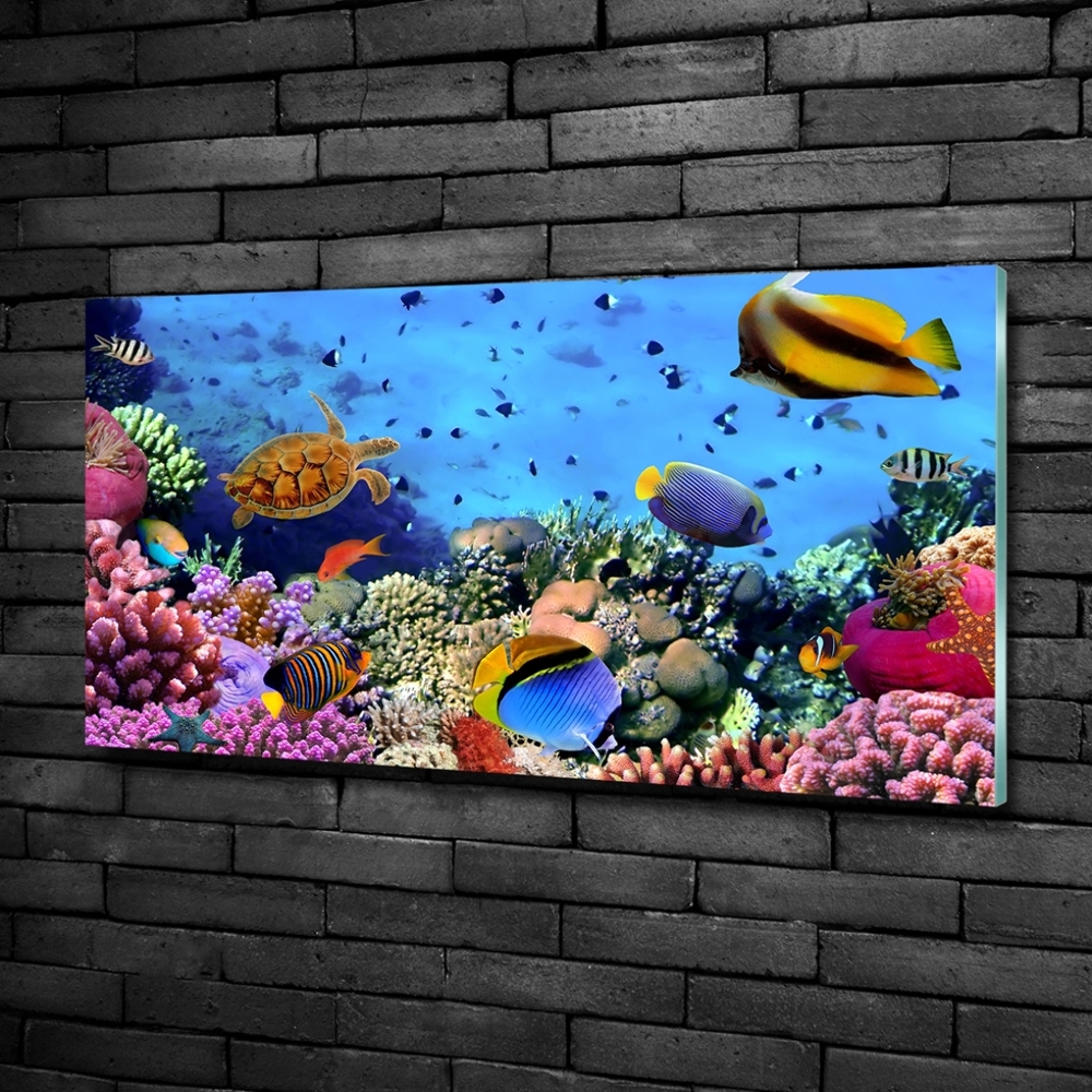 Glass art print Coral reef