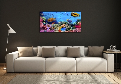 Glass art print Coral reef