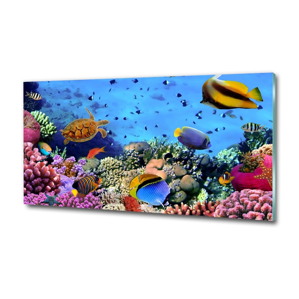 Glass art print Coral reef