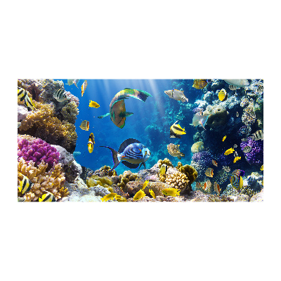 Glass art print Coral reef