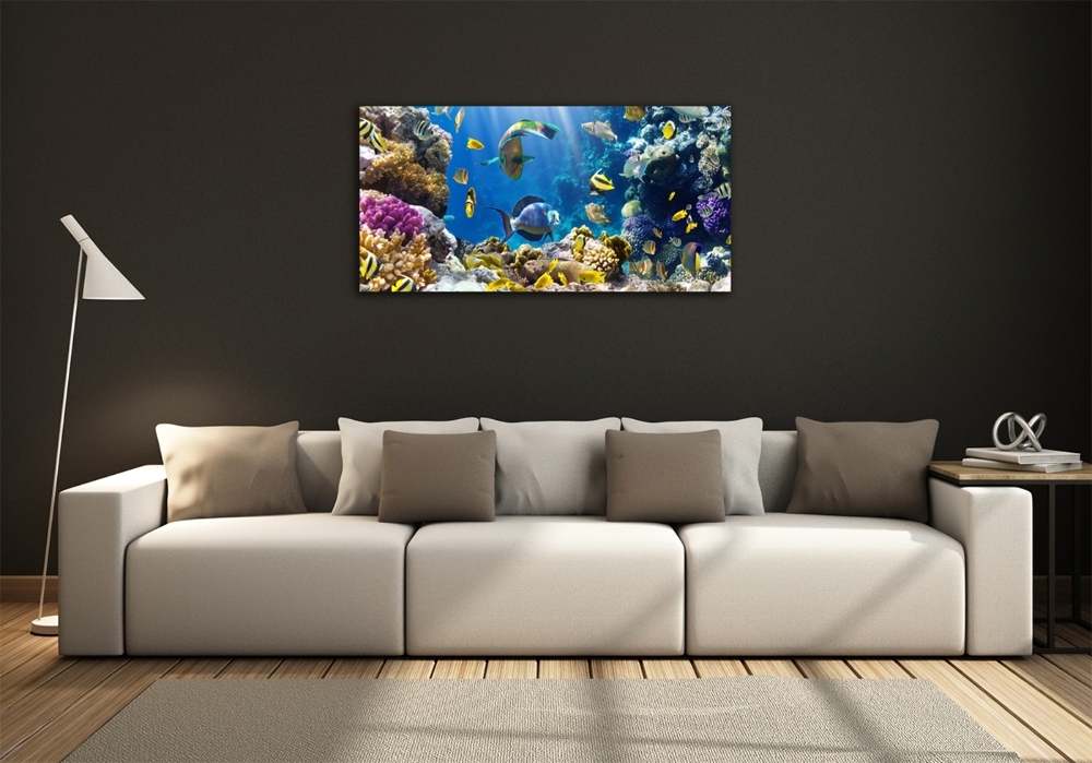 Glass art print Coral reef