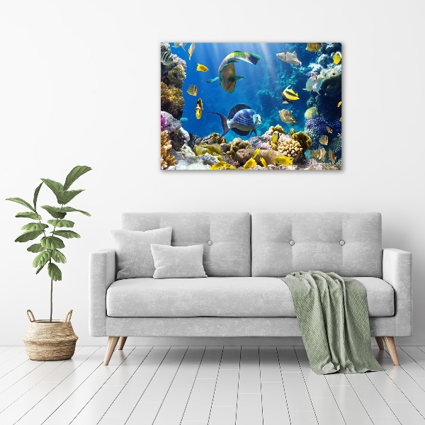 Glass art print Coral reef