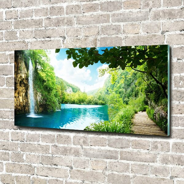 Glass picture wall art Waterfall in the forest