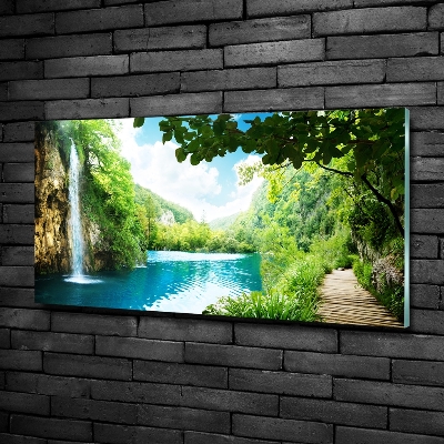 Glass picture wall art Waterfall in the forest