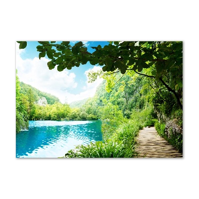 Glass picture wall art Waterfall in the forest