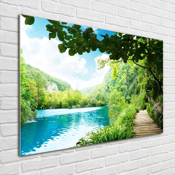 Glass picture wall art Waterfall in the forest