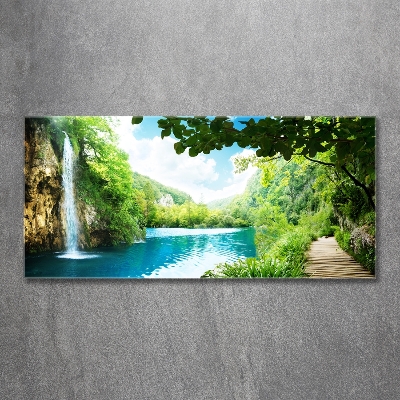 Glass picture wall art Waterfall in the forest