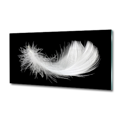 Glass wall art Feather