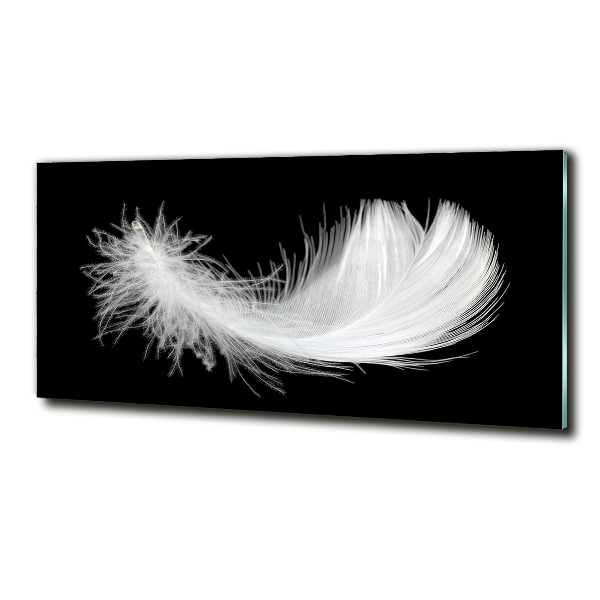 Glass wall art Feather