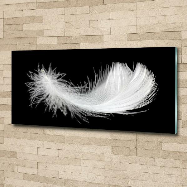 Glass wall art Feather