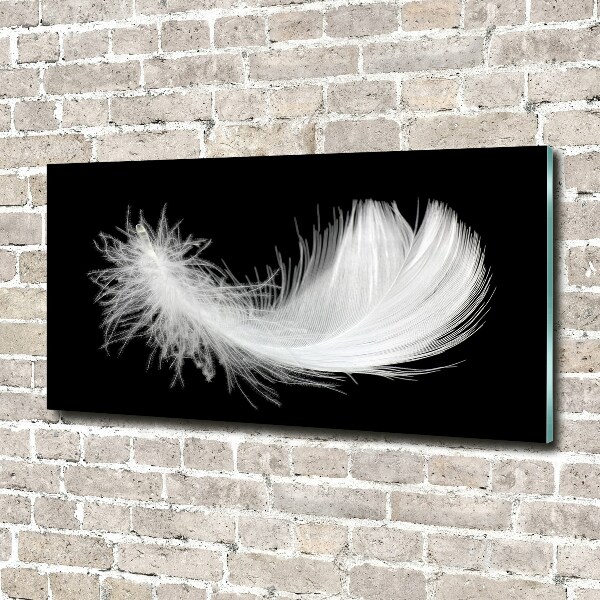 Glass wall art Feather