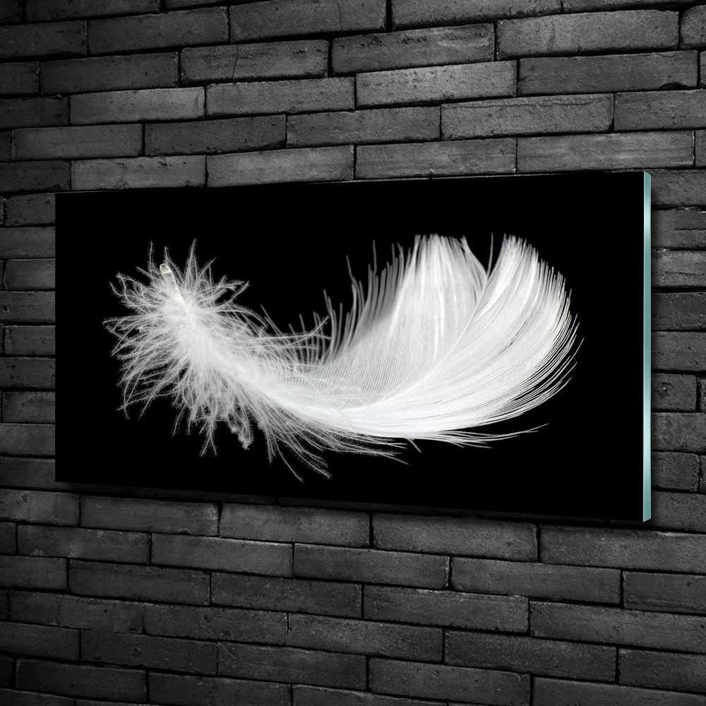 Glass wall art Feather