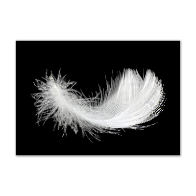 Glass wall art Feather