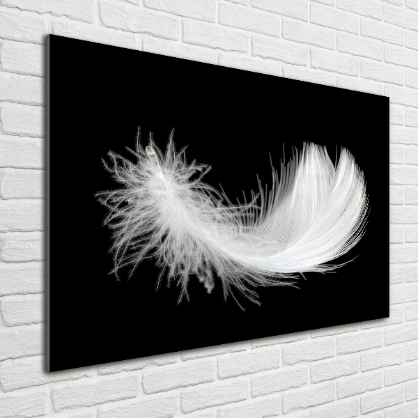 Glass wall art Feather