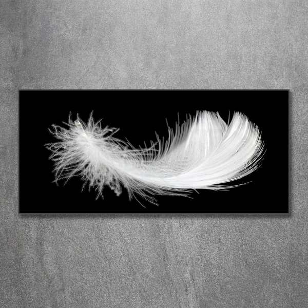 Glass wall art Feather