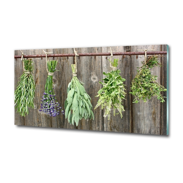 Glass wall art Herbs on a string