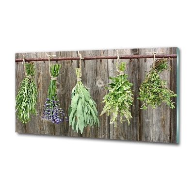 Glass wall art Herbs on a string